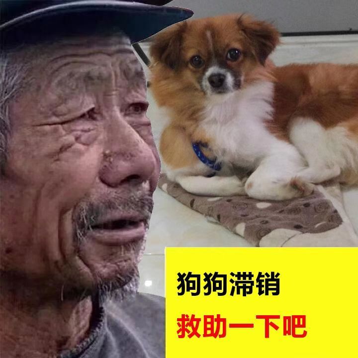 恶搞网红大爷货物滞销生成图片
